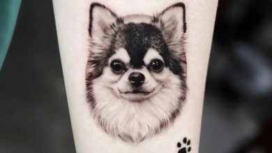 Chihuahua tattoo ideas