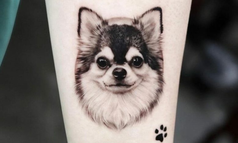 Chihuahua tattoo ideas