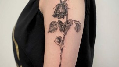Dead rose tattoo designs
