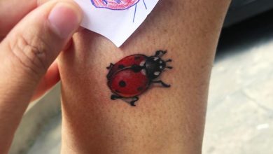 Ladybug tattoo ideas